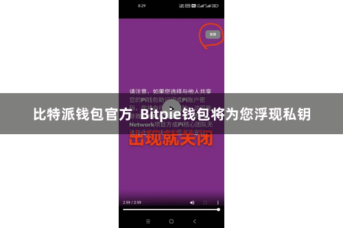 比特派钱包官方 Bitpie钱包将为您浮现私钥
