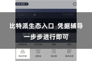 比特派生态入口  凭据辅导一步步进行即可