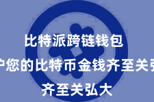 比特派跨链钱包  保护您的比特币金钱齐至关弘大