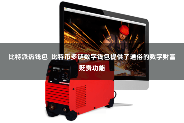 比特派热钱包  比特币多链数字钱包提供了通俗的数字财富贬责功能