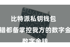 比特派私钥钱包  不错都备掌控我方的数字金钱