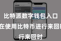 比特派数字钱包入口  在使用比特币进行来回时