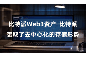 比特派Web3资产  比特派袭取了去中心化的存储形势