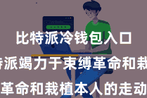比特派冷钱包入口  比特派竭力于束缚革命和栽植本人的走动劳动