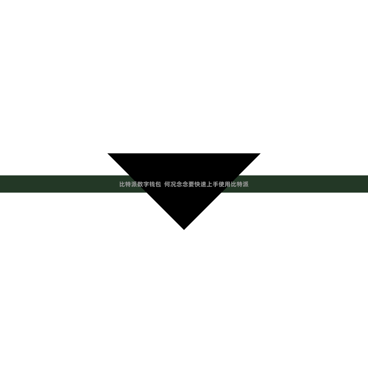 比特派数字钱包  何况念念要快速上手使用比特派