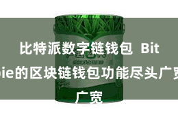 比特派数字链钱包  Bitpie的区块链钱包功能尽头广宽
