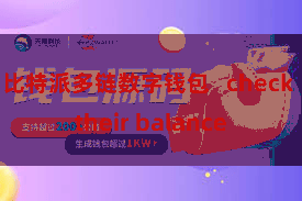 比特派多链数字钱包 check their balance