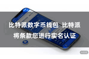 比特派数字币钱包  比特派将条款您进行实名认证