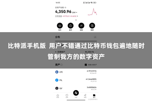 比特派手机版  用户不错通过比特币钱包遍地随时管制我方的数字资产