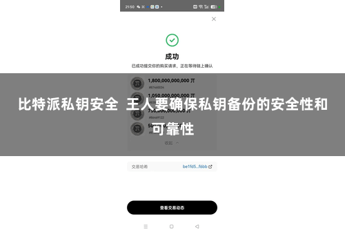 比特派私钥安全  王人要确保私钥备份的安全性和可靠性